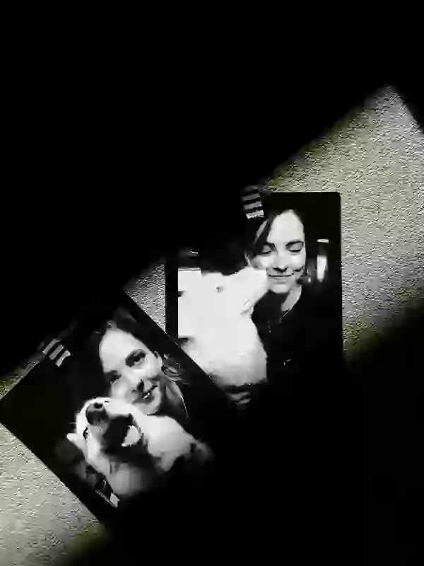 Frequently Asked Questions About Pet Exhumation